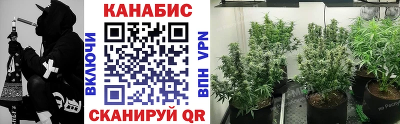 kraken   что такое наркотик  Тайга  Шишки марихуана тримм 